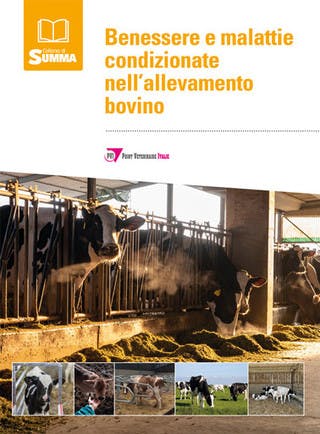 Immagine copertina Benessere e malattie condizionate nell’allevamento bovino