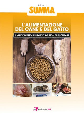 Immagine copertina L’alimentazione del cane e del gatto