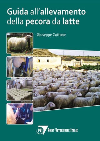 Immagine copertina Guida all’allevamento della pecora da latte