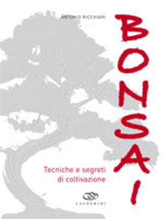Immagine copertina Bonsai