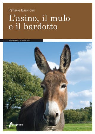 Immagine copertina L'asino, il mulo e il bardotto