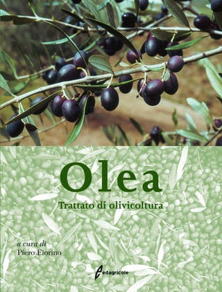 Immagine copertina Olea