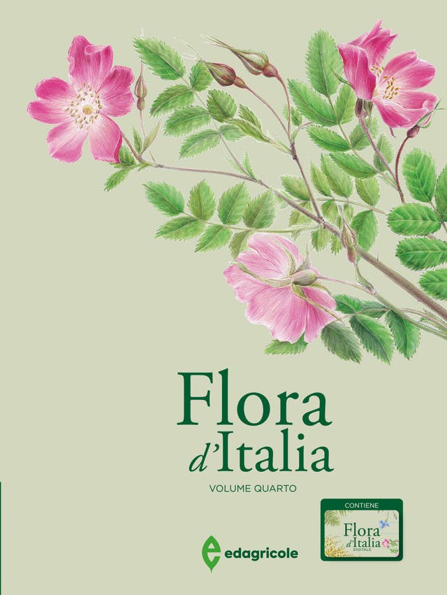 Flora d'Italia - volume 4