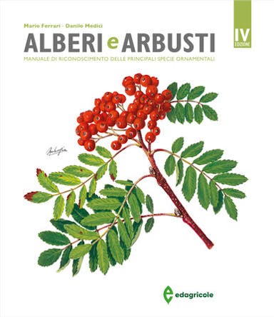 Immagine copertina Alberi e arbusti
