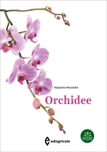 Immagine copertina Orchidee
